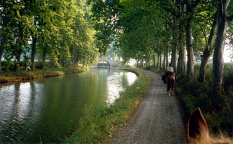 Reisen am Canal du midi